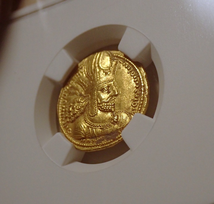 ������ī�ڥ륷�������㡼�ס��룱���Υǥ��ʡ�����Ch AU����