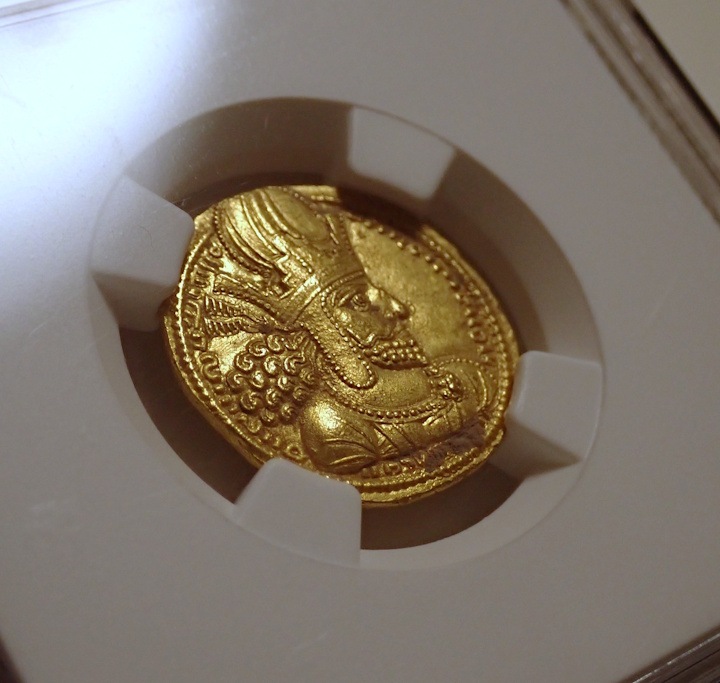 ������ī�ڥ륷�������㡼�ס��룱���Υǥ��ʡ�����Ch AU����