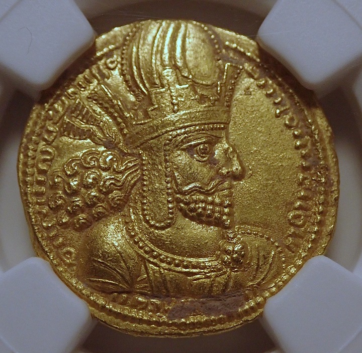 ������ī�ڥ륷�������㡼�ס��룱���Υǥ��ʡ�����Ch AU����