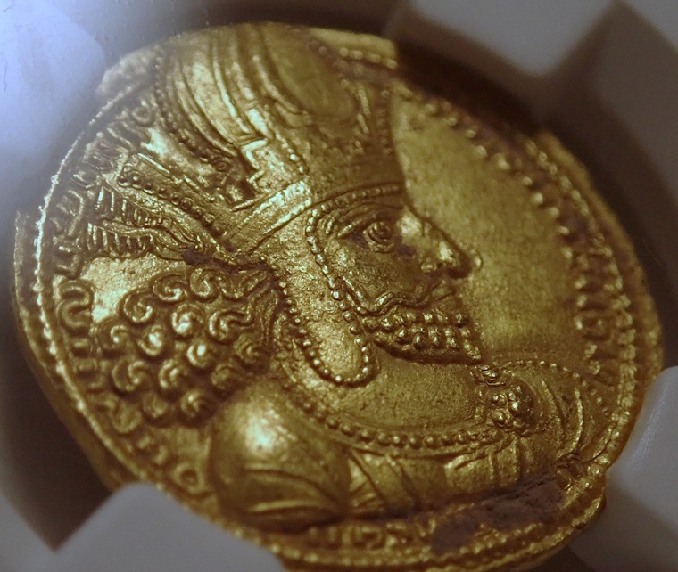 ������ī�ڥ륷�������㡼�ס��룱���Υǥ��ʡ�����Ch AU����