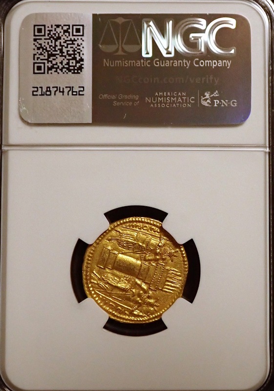 ������ī�ڥ륷�������㡼�ס��룱���Υǥ��ʡ�����Ch AU����