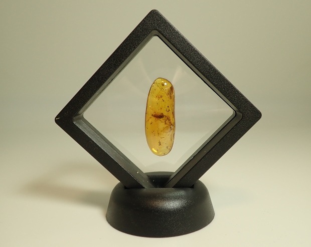 ドミニカ産琥珀　虫入り琥珀　約4・5グラム ドミニカ産琥珀 虫入り琥珀 約4・5グラム ドミニカ産の虫入り琥珀（