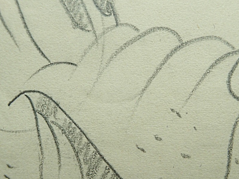 1935ǯ�˾�Ǥ��줿�ǥ����ˡ��ǲ�֥ץ롼�Ȥο�Ƚ�����פǺ��줿�ץ롼�ȤΥ�ǥ륷����