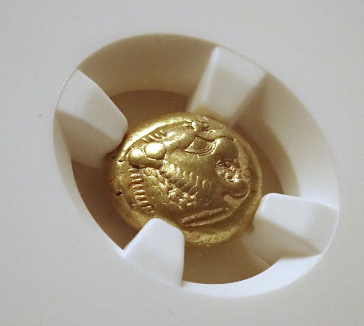 ������ǥ�����1/3�������ƥ���