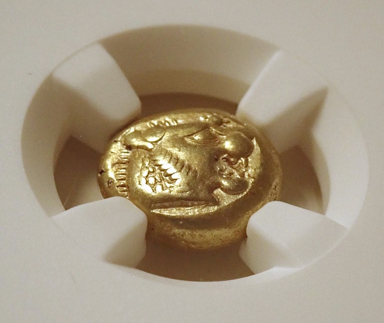 ������ǥ�����1/3�������ƥ���