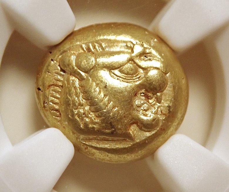 ������ǥ�����1/3�������ƥ���