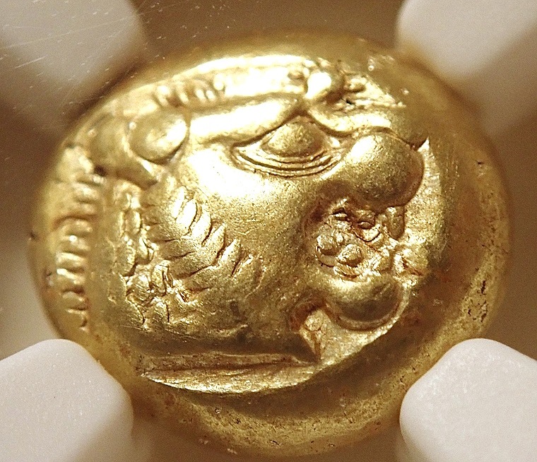 ������ǥ�����1/3�������ƥ���