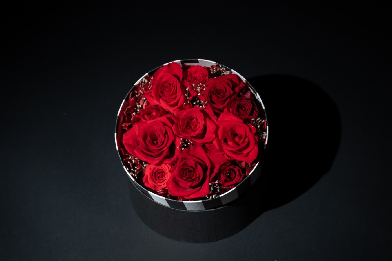 Tale ＜テイル＞  ー 開くたびに、新しい物語が始まるー