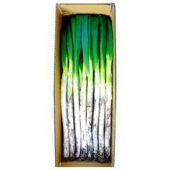 �ڽ缡�в� ����̵���ۻ���ľ�� ʿ��󤬺�롪�����ڤͤ���ť�ͤ� ���դ� (��7kg)���ո����ͻԤ��û���