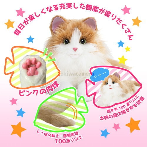 あまえんぼう　ねこちゃん　あなたのパートナー 楽天市場】あなたのパートナー しっぽふりふり あまえんぼうねこ