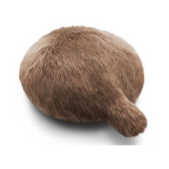 楫 Petit Qoobo ץ Marronʥޥ˿ äݥå ԡܥå ꥹޥץ쥼