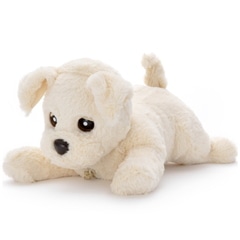 ȥߡ ҡ󥰥ѡȥʡ äȤꤳåХ˥ ץ쥼  ڥåȥܥå ͷ ȥ쥹 ܥå