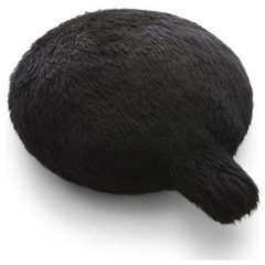 �楫������ Petit Qoobo �ץ������� Noir�ʥΥ�롦�� �˿������� ���äݥ��å���� ����ԡ����ܥå� ���ꥹ�ޥ��ץ쥼��� YE-PQ001N