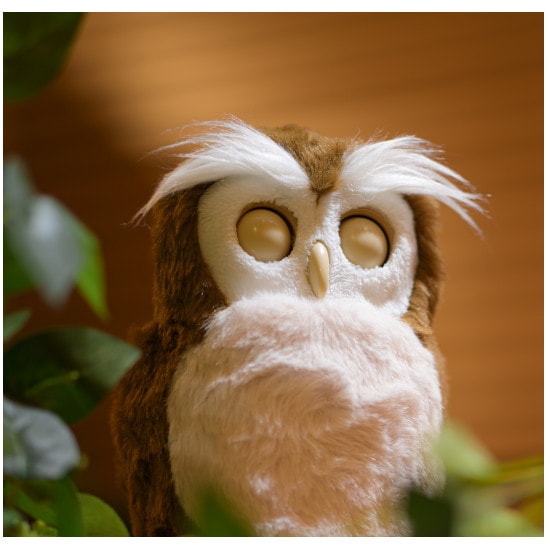 フクロウ ural-owl_grelly02-600x600.jpg