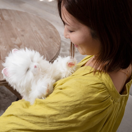 電池10本付き！】あなたのパートナー しっぽふりふり あまえん