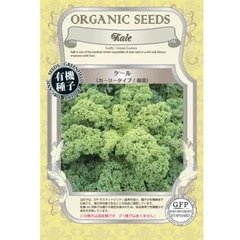 �ڥݥ�����ȡ�ء�����̵���ۥ��꡼��ե�����ɥץ��������ȡ������� �����꡼������ ���ա�ͭ����ҡ�������