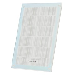 �ե����顼 FUJICOLOR �������ե졼�� �쥤��ܡ� 2L������ 2L�������ץ����б�