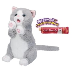 ����� ���塼����礦�������ڤ��꡼�ˤ� ư���̤������  ǭ�Τ������