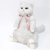 Cuddly ɥ꡼  CoCo() ø/Y(55cm 850g) ޥȥŨ֤ ǭ̤ 