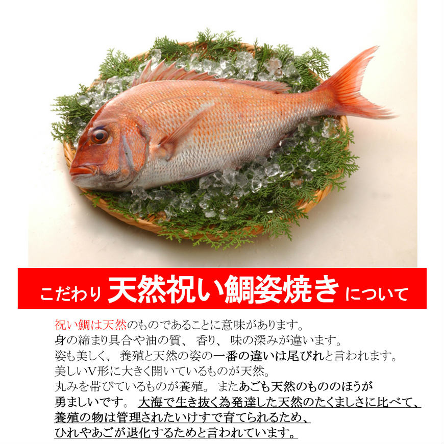 ̿ˤ󥿥ǡۡ礦󤿤뤼󡡢Ǥբβǽ-ٰʳ-