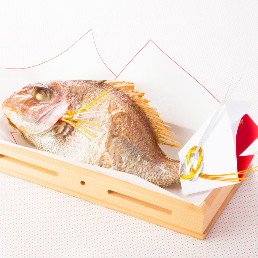 ̿˿ʨᡡåȡڤ⤫ԥ󥯨ʡըβǽ-ٰʳ-