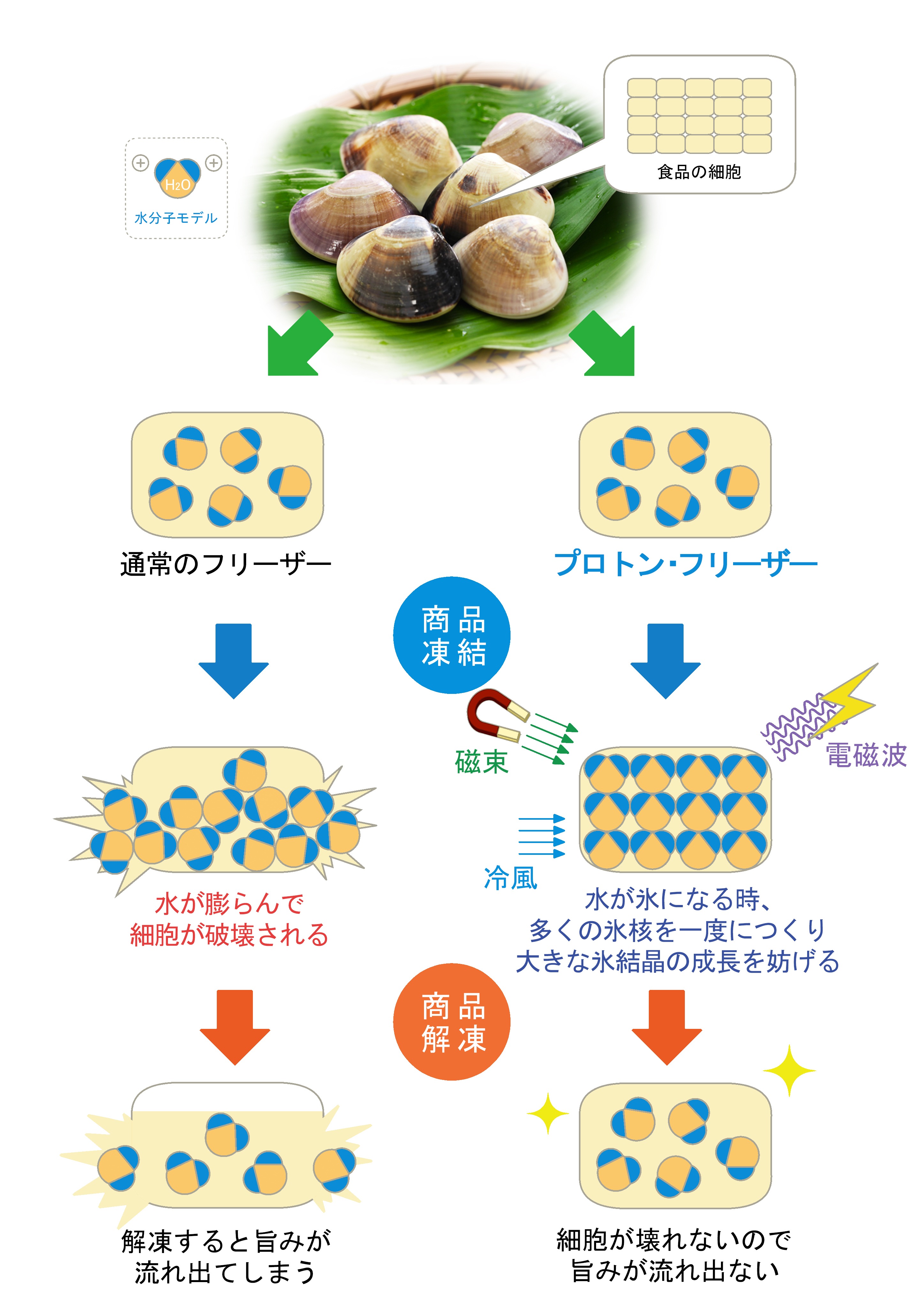 ���̿������Ⱥ�Τ��ۤ�ʪ�ʥϥޥ����ʪ�˨�����Ⱥ�Τ��ۤ�ʪ��Ⱥ�ۨ��Ϥޤ�����