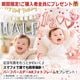���̿�����ˤ���������������åȡ��ߥ������ߤˤ�����ˤλ��� �ۨ����̳�ƻ��������������̵����