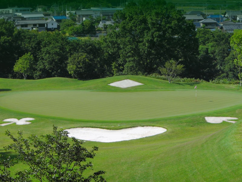 Sale�����ᥤ�쥤���ҥ륺����ȥ꡼����֡ʷ��ϸ��ˡ�ʿ����ͭ�����¡�1��1��~3��31���ޤǡ�1��4̾��ʬ���������2,750��