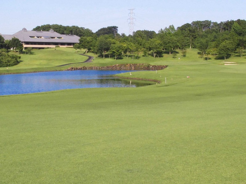 Sale�����������ȥ��åɥ���ȥ꡼����֡����ڸ��ˡ�ʿ����ͭ�����¡�3��1��~5��31�� 1��4̾��ʬ �������4,750��