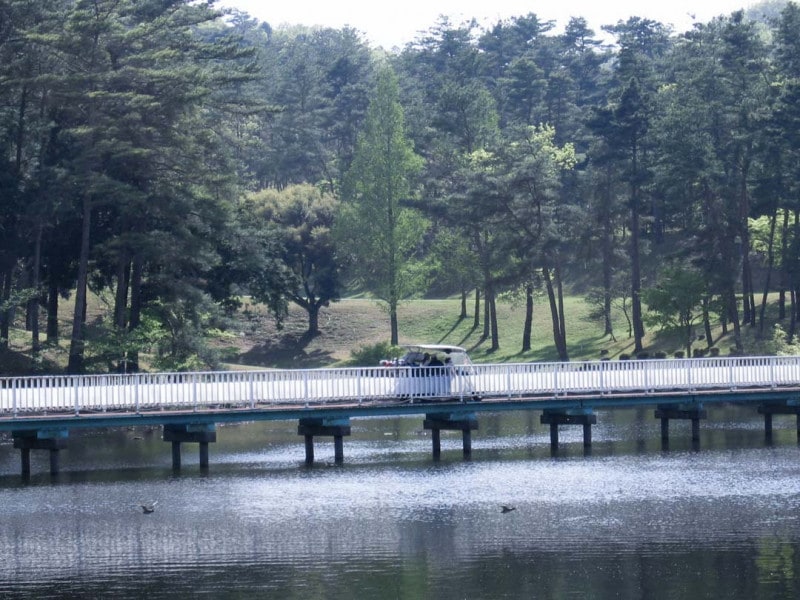 ���奫��ȥ꡼����֡ʻ��Ÿ��ˡ������ˡ�ͭ�����¡�3��1��~5��31�� 1��4̾��ʬ �������6,875��