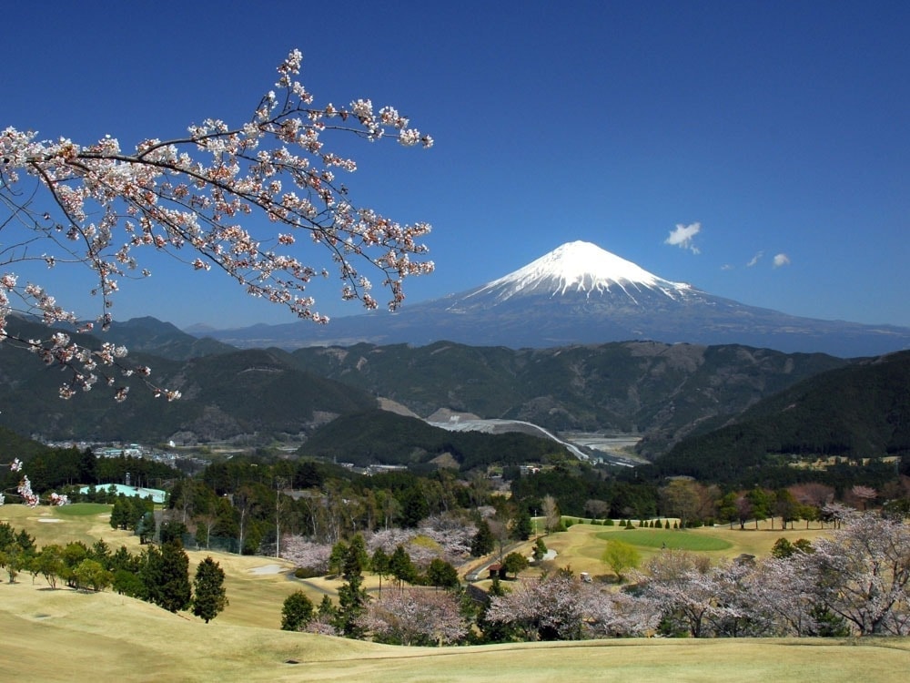 Sale�����ٻΥ�����륫��ȥ꡼����֡ʻ������ˡ�ʿ����2��1��~4��30�� 1��4̾��ʬ �������3,750��