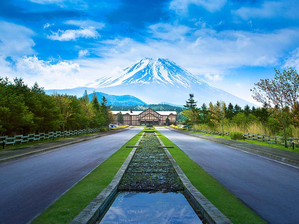 �ٻΥ��饷�å��ʻ������ˡ�ʿ����ͭ�����¡�3��1��~5��31�� 1��4̾��ʬ �������9,900��