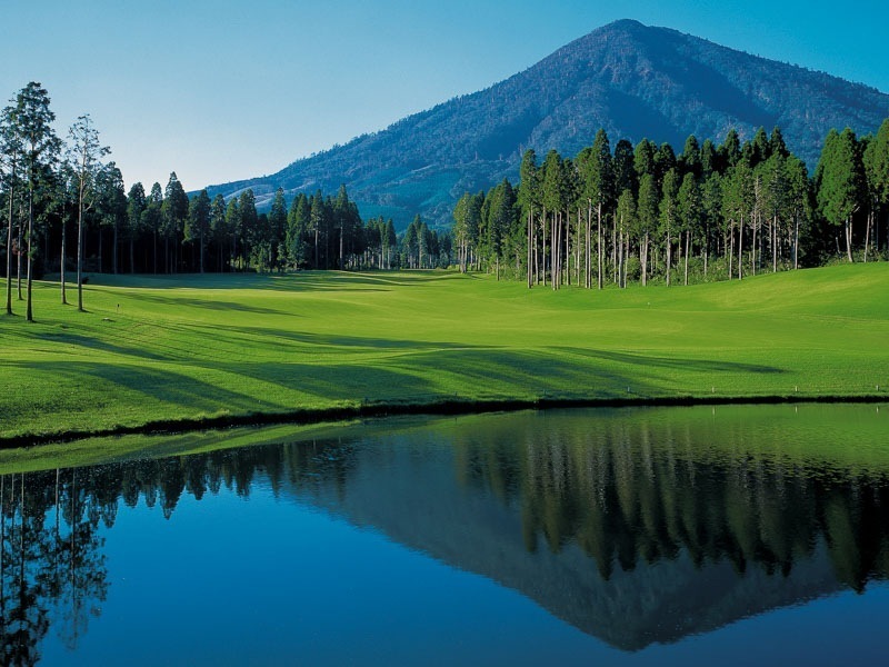 ��ʬ����ȥ꡼����� �������������ʬ���ˡ������ˡ�3��1��~5��31�� 1��4̾��ʬ �������7,150��