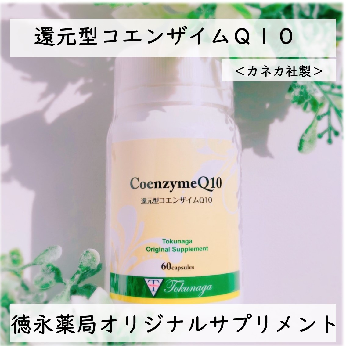 還元型コエンザイムＱ10 還元型コエンザイムQ10 | 野口サプリメントシリーズ