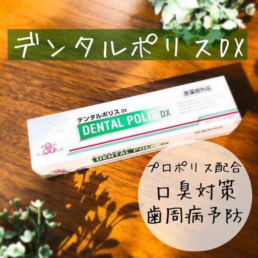 �ǥ󥿥�ݥꥹDX80��