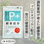 P+�ץ��ƥ����ꥫ��