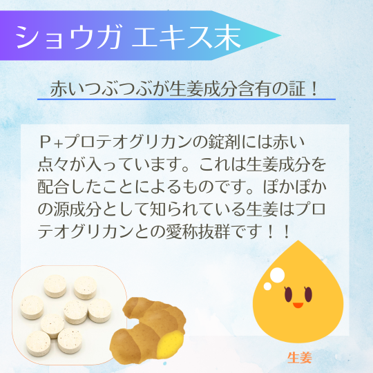 P+�ץ��ƥ����ꥫ��