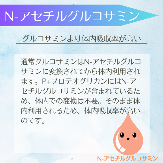 P+�ץ��ƥ����ꥫ��