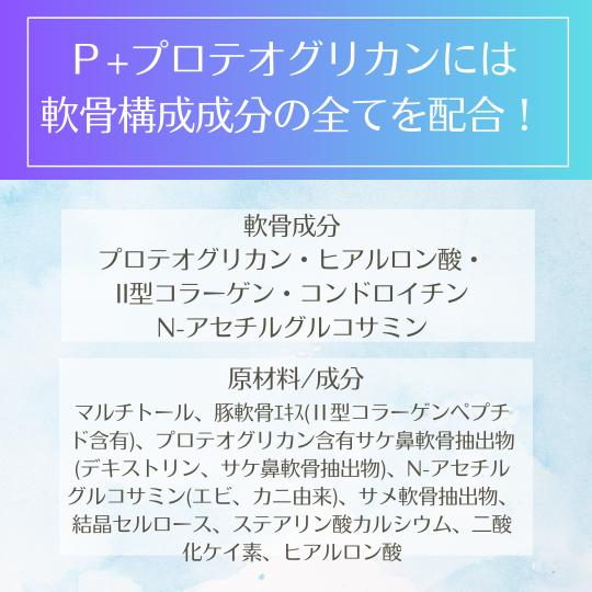 P+�ץ��ƥ����ꥫ��