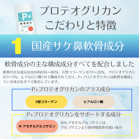 P+�ץ��ƥ����ꥫ��