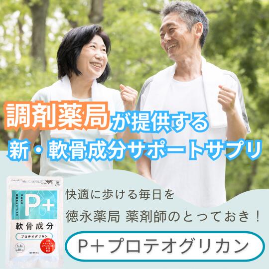 P+�ץ��ƥ����ꥫ��