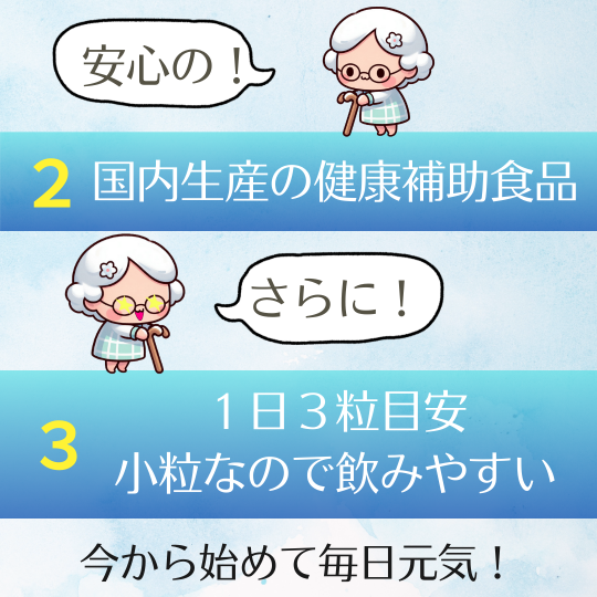 P+�ץ��ƥ����ꥫ��