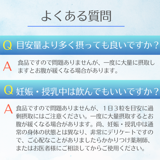 P+�ץ��ƥ����ꥫ��