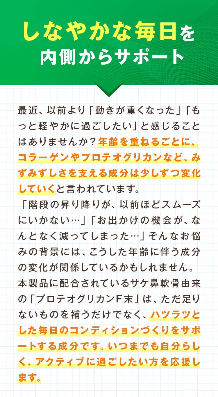 P+�ץ��ƥ����ꥫ��