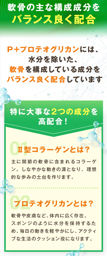 P+�ץ��ƥ����ꥫ��