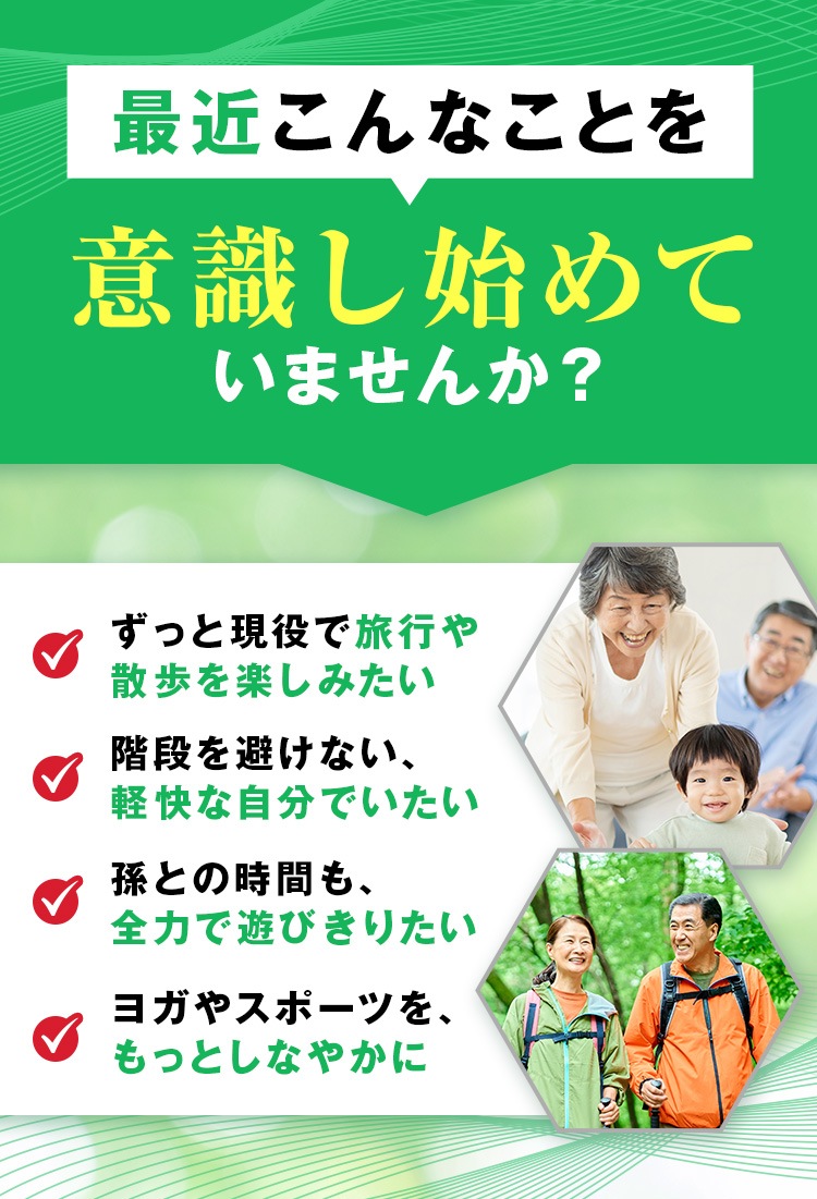 P+�ץ��ƥ����ꥫ��