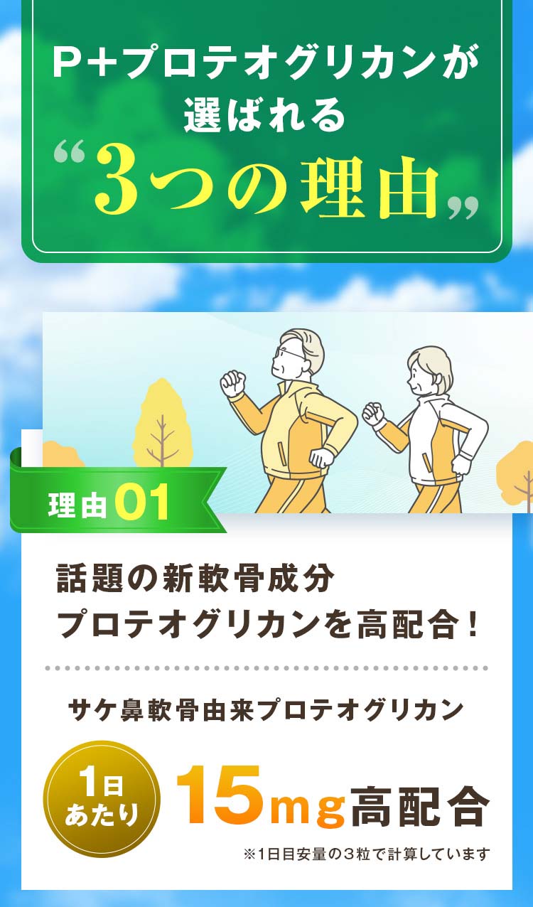 P+�ץ��ƥ����ꥫ��