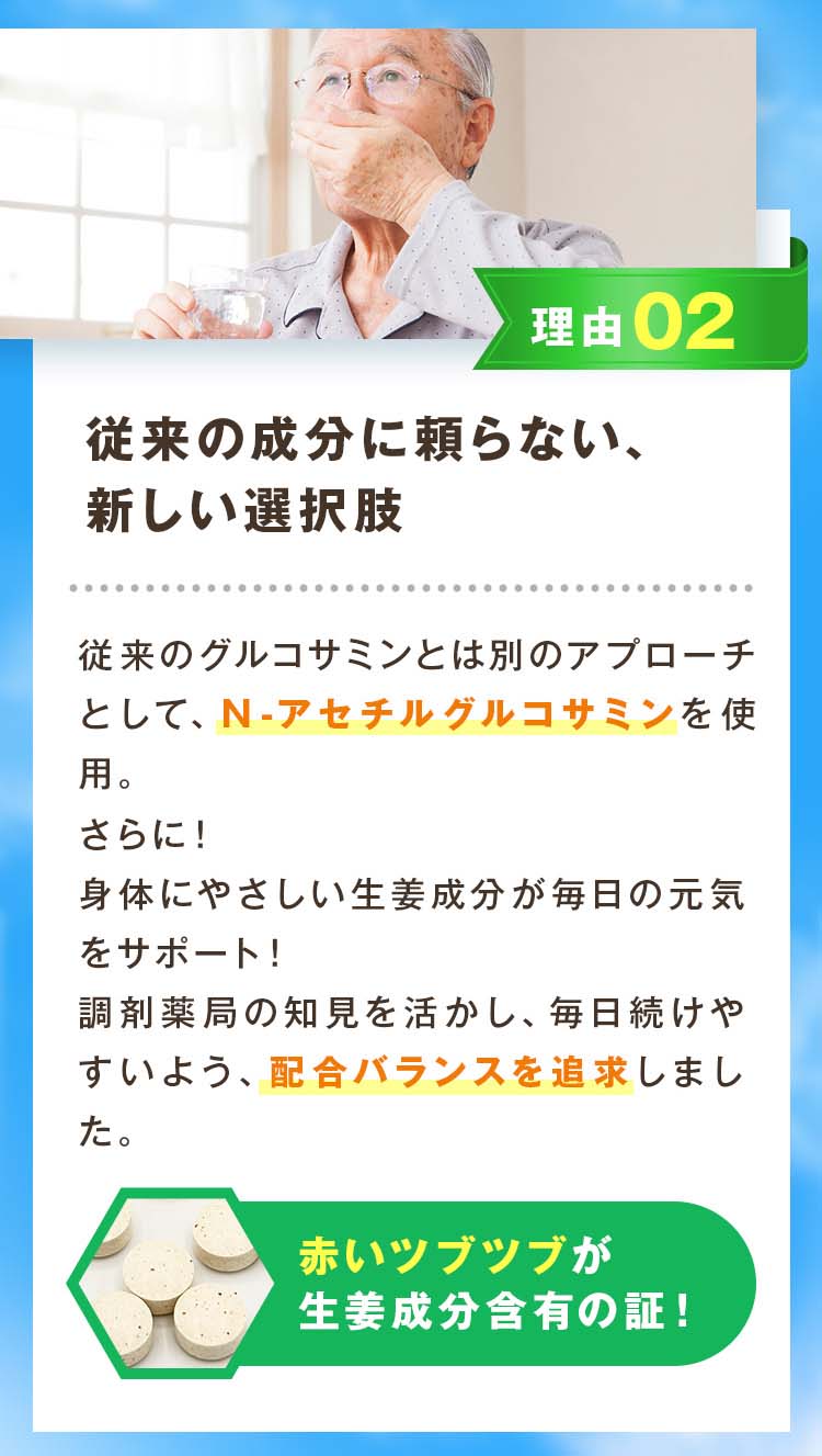 P+�ץ��ƥ����ꥫ��