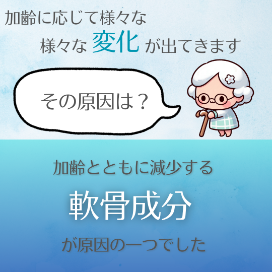 P+�ץ��ƥ����ꥫ��