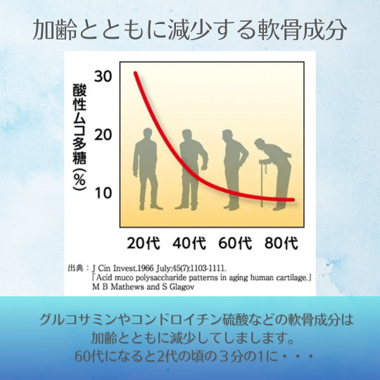 P+�ץ��ƥ����ꥫ��